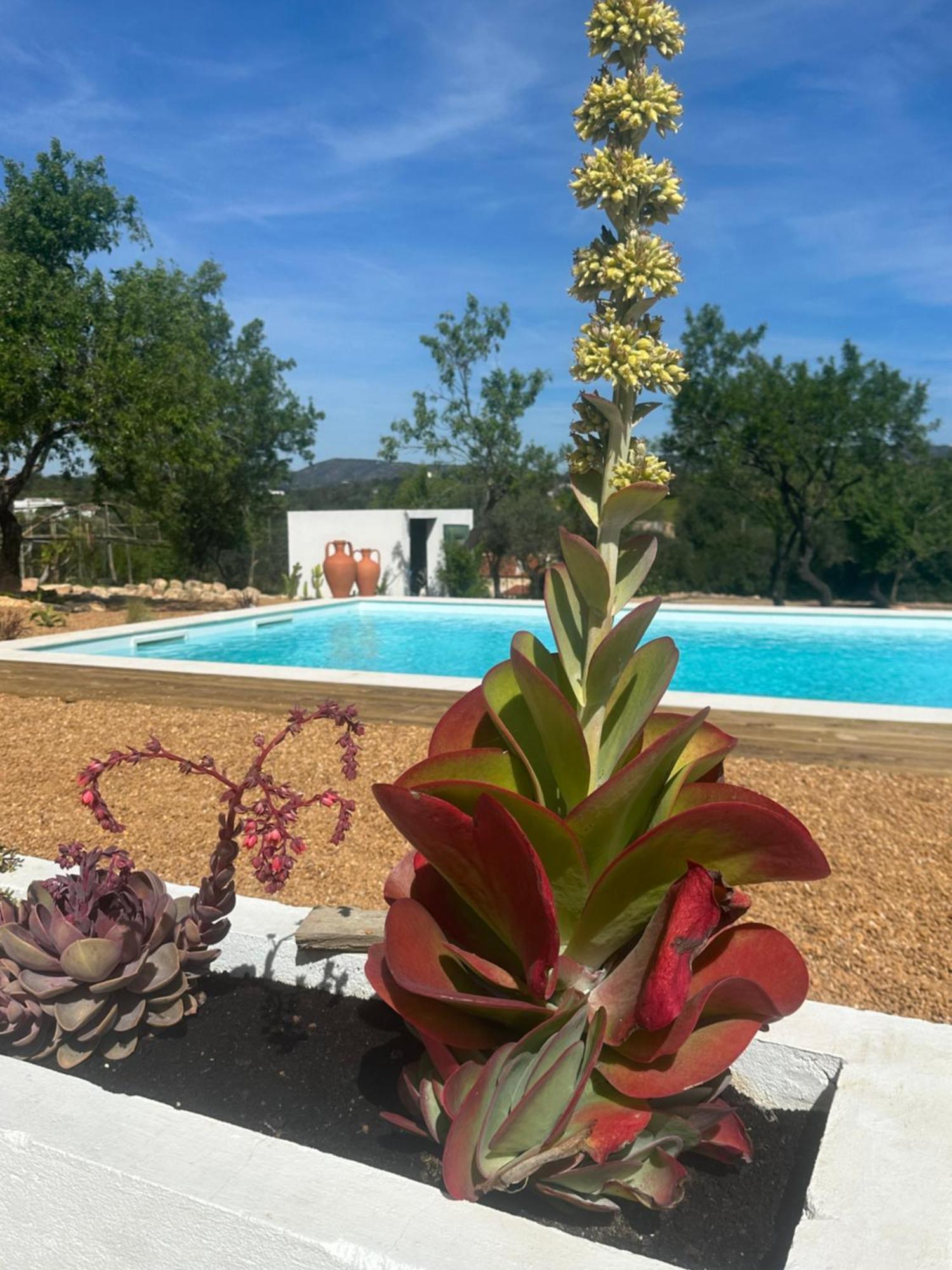 Vila La Quinta Da Liberdade - Ferme De Charme En Algarve Pechão Exteriér fotografie