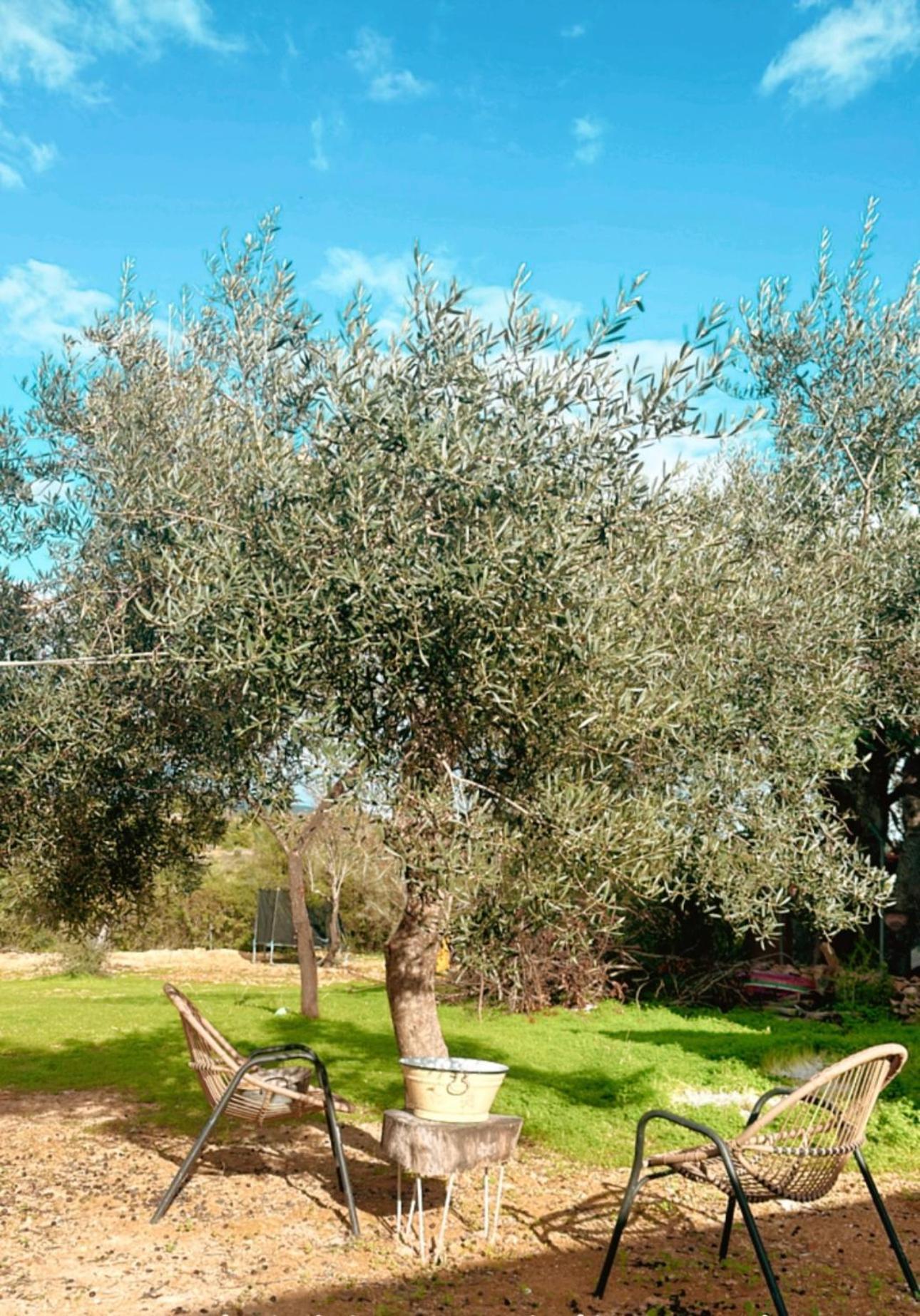 Vila La Quinta Da Liberdade - Ferme De Charme En Algarve Pechão Exteriér fotografie