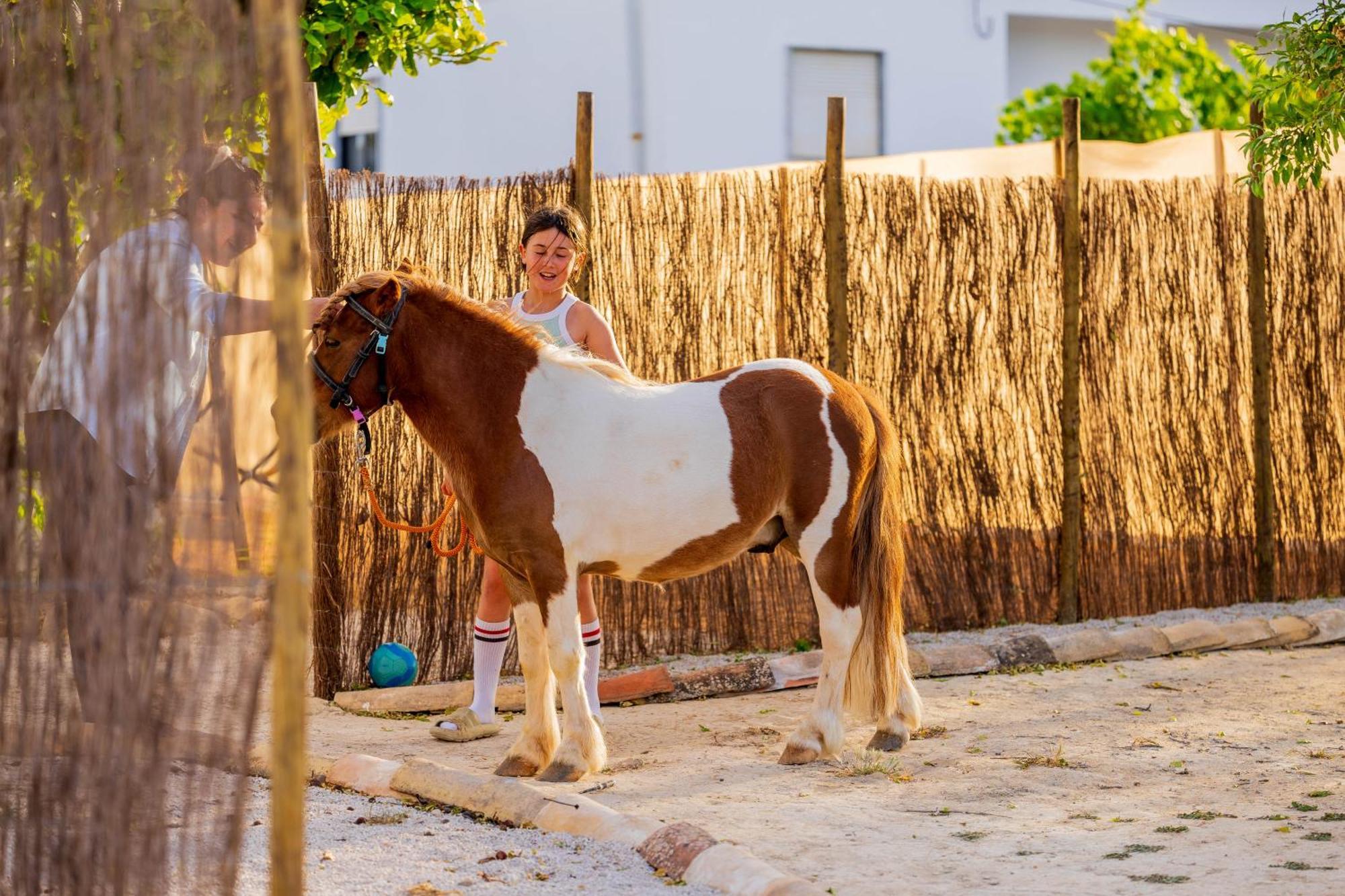 Vila La Quinta Da Liberdade - Ferme De Charme En Algarve Pechão Exteriér fotografie