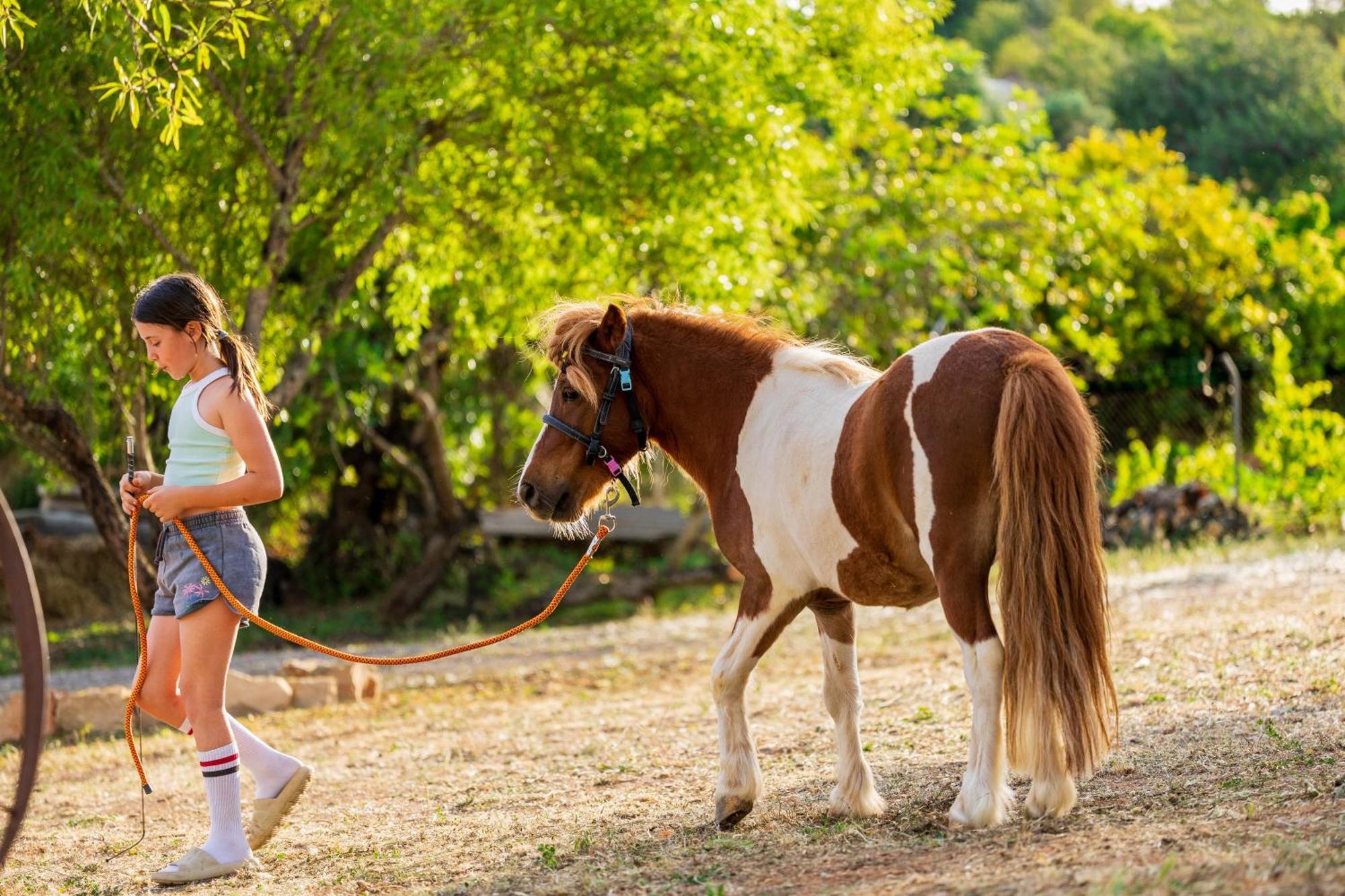 Vila La Quinta Da Liberdade - Ferme De Charme En Algarve Pechão Exteriér fotografie